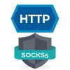 30天海外socks 5 Proxy IP