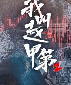 我叫赵甲第2 (2025)