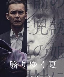 绑匪的女儿 翳りゆく夏 (2015)
