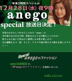 大姐头 2005年末特别篇 Anego 2005年末特别篇 (2005)