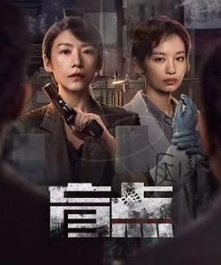 盲点 (2025)