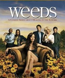 单身毒妈 第二季 Weeds Season 2 (2006)