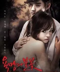 欲望的火花 욕망의 불꽃 (2010)