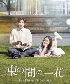 一霎一花 束の間の一花 (2022)