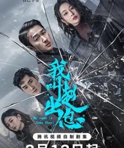 我叫赵出息 (2025)
