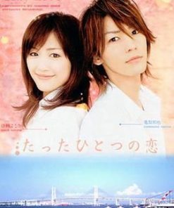 唯一的爱 たったひとつの恋 (2006)
