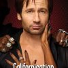 加州靡情 第五季 Californication Season 5 (2012)