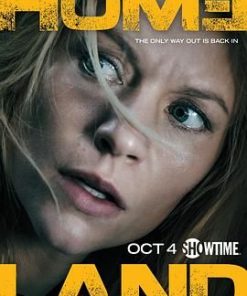 国土安全 第五季 Homeland Season 5 (2015)