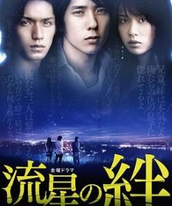 流星之绊 流星の絆 (2008)