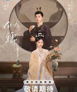 似锦 (2025)