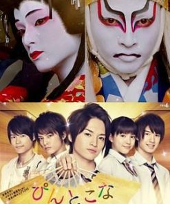 歌舞伎华之恋 ぴんとこな (2013)