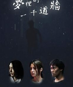 梦里的一千道墙 夢裡的一千道牆 (2017)