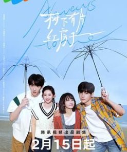 树下有片红房子 (2025)