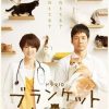毛毯猫 ブランケット・キャッツ (2017)