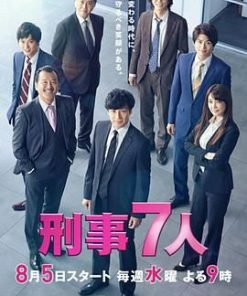 刑事7人 第六季 刑事7人 season VI (2020)