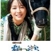 夏空 なつぞら (2019)
