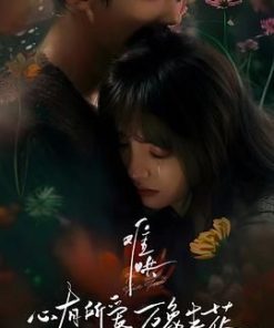 难哄 (2025)