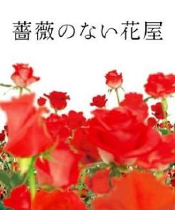 没有玫瑰的花店 薔薇のない花屋 (2008)