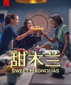 甜木兰 第四季 Sweet Magnolias Season 4 (2025)