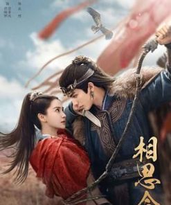 相思令 (2025)