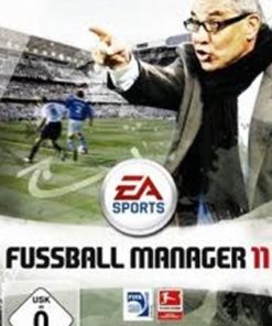 《FIFA足球经理11》免安装中文绿色版