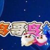 《鸟哥鸟妹》免安装中文绿色版