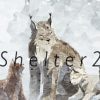 《避难所2》免安装中文绿色版