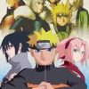 《火影忍者终极觉醒2》免安装绿色版
