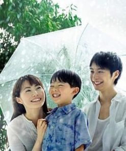 现在，很想见你 いま、会いにゆきます (2005)