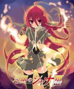 灼眼的夏娜3 灼眼のシャナIII -Final- (2011)