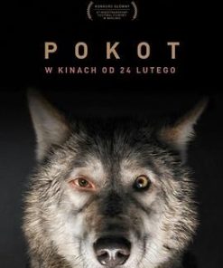 糜骨之壤 Pokot (2017)