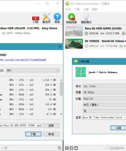 4K Video Downloader v4.33.2.0164