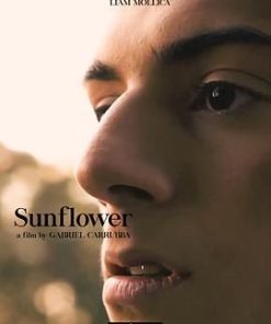 向日葵 Sunflower (2023)