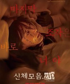 身体集合.zip 신체모음.zip (2022)
