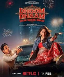 新婚乐逃逃 Dhoom Dhaam (2024)