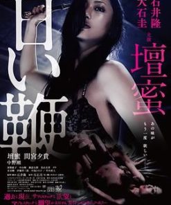 甜蜜皮鞭 甘い鞭 (2013)