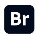 Adobe Bridge 2024破解版下载附安装教程