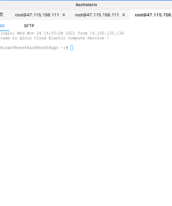 Aechoterm 国产 SSH SFTP工具