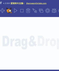 Ant Download Manager PRO 2.9.0 赠品版本