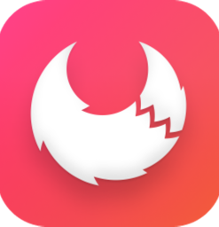 Apifox(免费api接口测试工具)