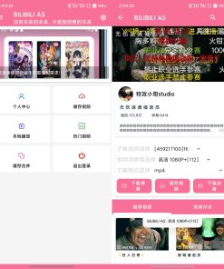 BILIBILI AS_v2.0.3 哔哩哔哩下载器