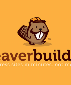 Beaver Builder Pro v2.8.0.6完美破解Wordpress页面构建器插件下载