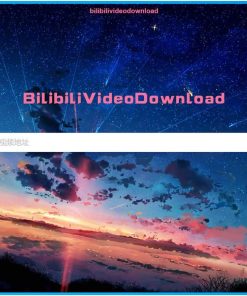 BilibiliVideoDownload视频下载v3.3.0