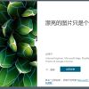 Bing Wallpaper微软壁纸v2.0.2.1中文多语版