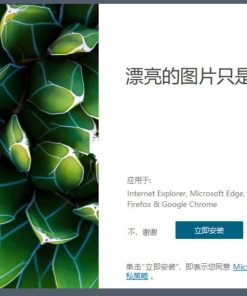 Bing Wallpaper微软壁纸v2.0.2.1中文多语版
