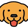 Bruno(开源免费API接口调试工具)