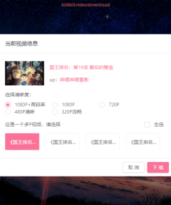 B站下载器Downloader v3.2.0软件