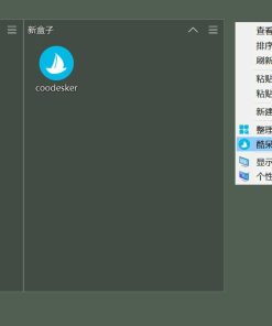 Coodesker图标整理v2.2.0.4便携版