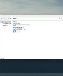 CowPE带网络功能的PE系统