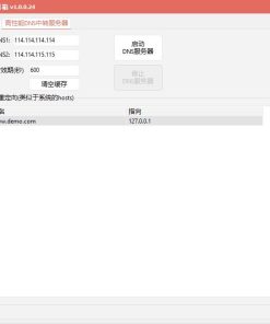 DNS快捷工具箱轻量高性能DNS服务器工具